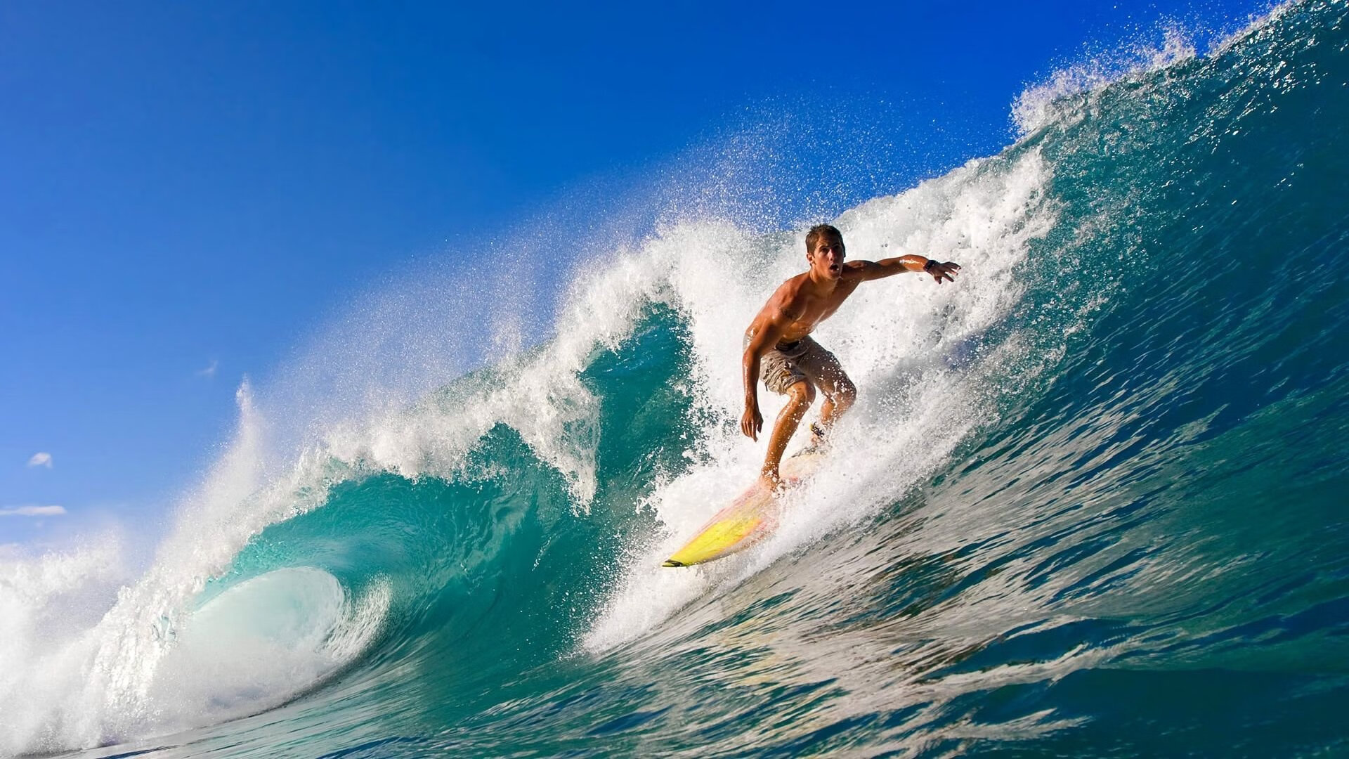 仰泳赛道瑞士选手节奏精准,仰泳纪录