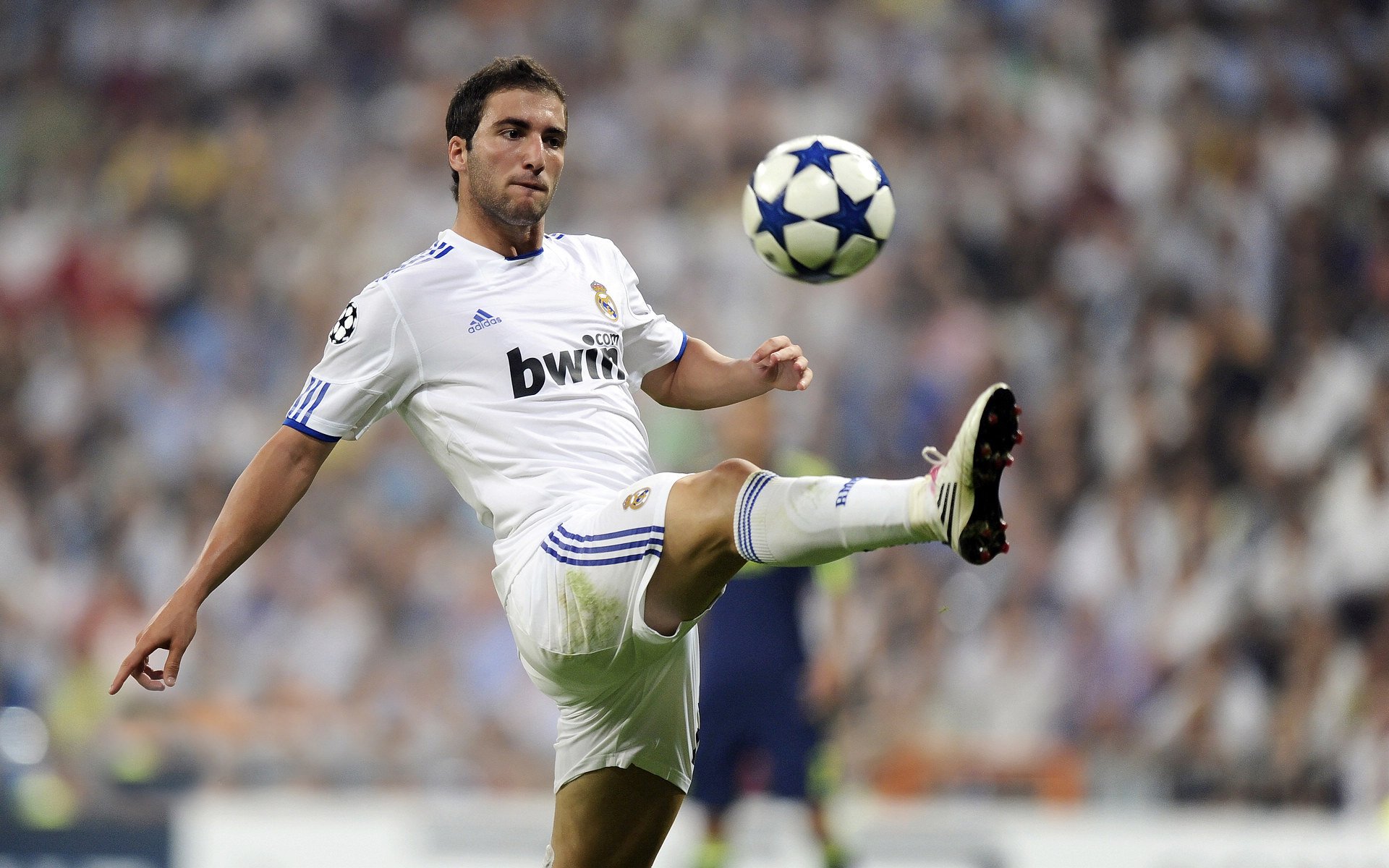 球迷公投选出最受欢迎球星,榜单引发争议与讨论,球员投资